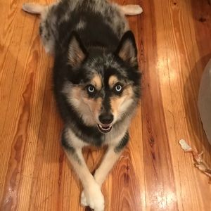 Meet your Posher, Chad